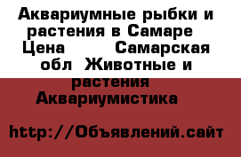 Аквариумные рыбки и растения в Самаре › Цена ­ 20 - Самарская обл. Животные и растения » Аквариумистика   